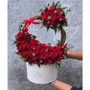 باکس گل پرنده بهشتی و ادریسی برای روز مادر 4575