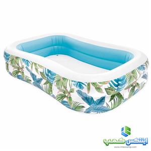 استخر بادی اینتکس مدل برگ کد 57177