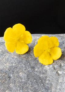 گوشواره آریسان