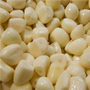 ترشی سیر سفید (متوسط) فله