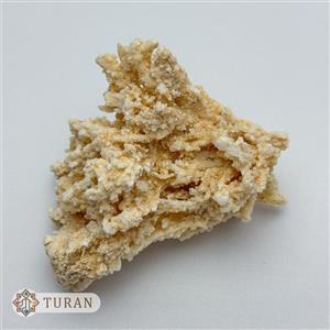 سنگ راف آراگونیت طبیعی 80 گرم