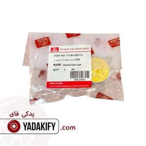 درب رادیات آب ام وی ام X33