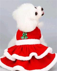 لباس سگ و گربه کریسمسی؛ انتخابی جذاب برای جشن‌ها، عکس‌های زمستانی و استایل فانتزی پت‌ها