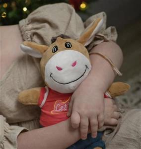 عروسک الاغ (خر) محصل