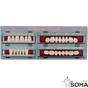 دست دندان سوپر نیوکلار Super Newclar Artificial teeth