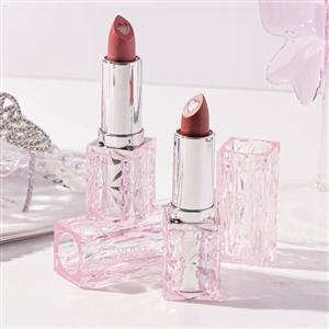 رژلب جامد مرطوب کریستالی gagk