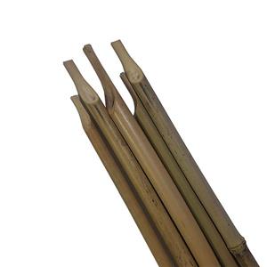 قلم نی خیزران گرد بسته 10 عددی (قلم نی مشقی) 