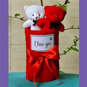 بوکت تدی مدل Y7877