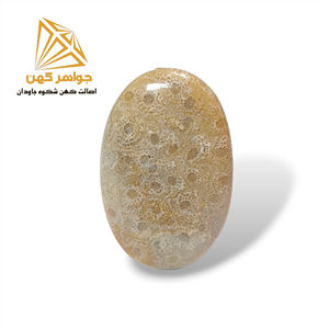 نگین فسیل مرجان (کد ۲)
