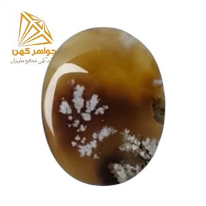 نگین شجر بهاری کد(68)