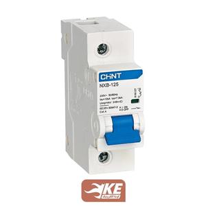 کلید مینیاتوری AC تک پل 125 آمپر 10kA تیپ C چینت سری NXB125