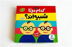 فلش کارت کدام دوتا شبیه اند؟