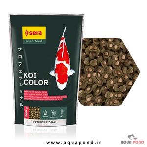 غذا رنگ کوی پروفشنال کالر سرا 1kg