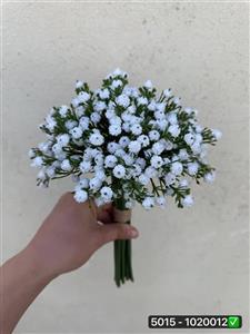 دسته عروس سفید