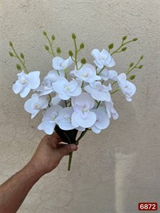 بوته ارکیده ۲۰ گل لمسی سفید