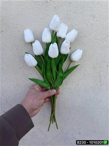 لاله لمسی درجه 1 vip (دسته 10 تایی)