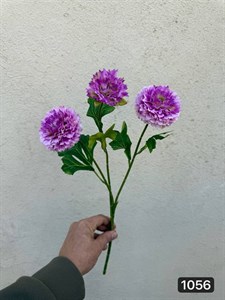 شاخه میخک وارداتی۳ گل (پک 12تایی )