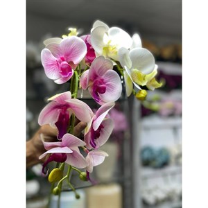 شاخه ارکیده ۷ گل لمسی