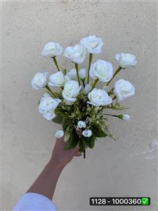 رز و غنچه مینیاتوری ۱۱ بازو