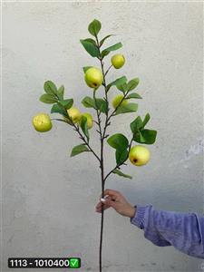 شاخه سیب برگ دار ۴ بازو
