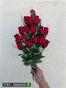 بوته غنچه مخمل ۲۴ گل