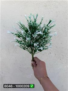 بوته شویدی گل اناری ۹ بازو