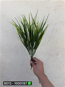 بوته لیندا