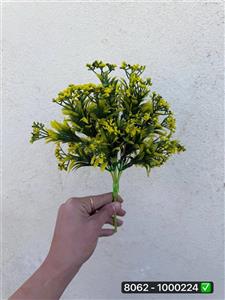 بوته شکوفه قلبی سرخس ۶ بازو