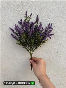 گل بوته شویدی نوک برفی