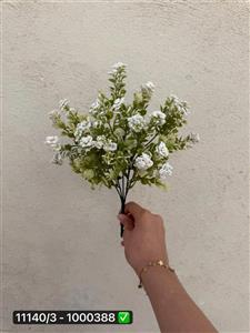 گل بوته خرج کارنوک برفی