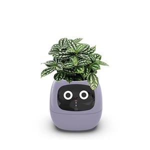 گلدان هوشمند مدل Smart Plant Ivy