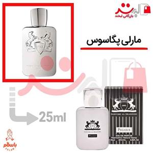 ادکلن ادوپرفیوم مردانه برندینی با رایحه BRANDINI PEGASUS 25ml