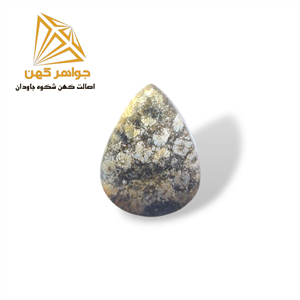 نگین فسیل مرجان (کد 10)