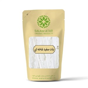 نبات سفید شاخه ای