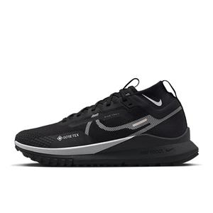 Nike Pegasus Trail 4 GORE-TEX