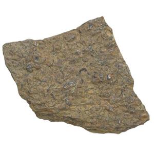 سنگ راف مدل فسیل صدفی