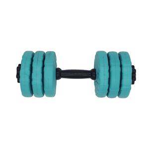 دمبل گرد قابل تنظیم وزن 6 کیلوگرم رادیس فیت مدل DVP 6-1000 one handle