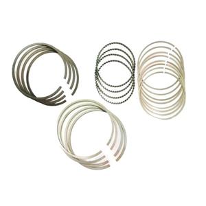 رینگ موتور ریک کد 40842 مناسب برای 206 تیپ 5 بسته 20 عددی