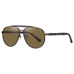 عینک آفتابی خلبانی (Aviator) مردانه آلبرت وگ مدل 6315C105P130 Avantgarde Visionary