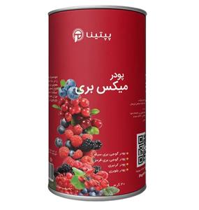 پودر میکس بری پپتینا قوطی 40 گرمی