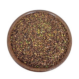 مغز پسته کوهی بنه - 500 گرم