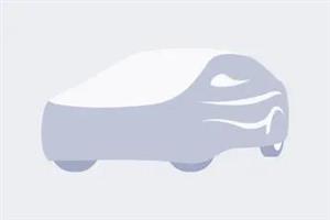 خودرو پژو 405-1391