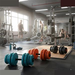 دمبل رادیس فیت مدل DVP 16MIX-ONE HANDLE وزن 16 کیلوگرم