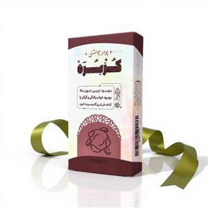 پودر چاشنی کزبره طیبستان