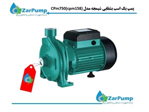 پمپ یک اسب بشقابی شیمجه مدل CPm750(cpm158)