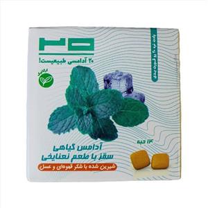 آدامس گیاهی سقز با طعم نعنا یخی برند 20 تبریز 25 گرم