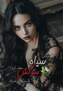 PDF نسخه کامل رمان سیاه سرکش جلد اول  از یاسمن فرحزاد در ژانر عاشقانه -تخیلی - معمایی در ۱۲۲۳صفحه