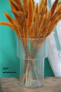 گلدان شیشه ای کد ۰۲ شیشه شفاف