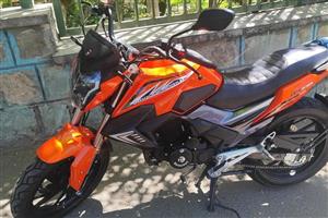 موتور سیکلت ایران دوچرخ DS230-1403