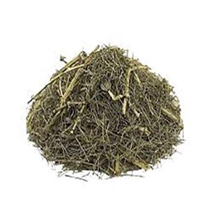 گیاه دم اسب پاکساز کلیه دارالشفاء